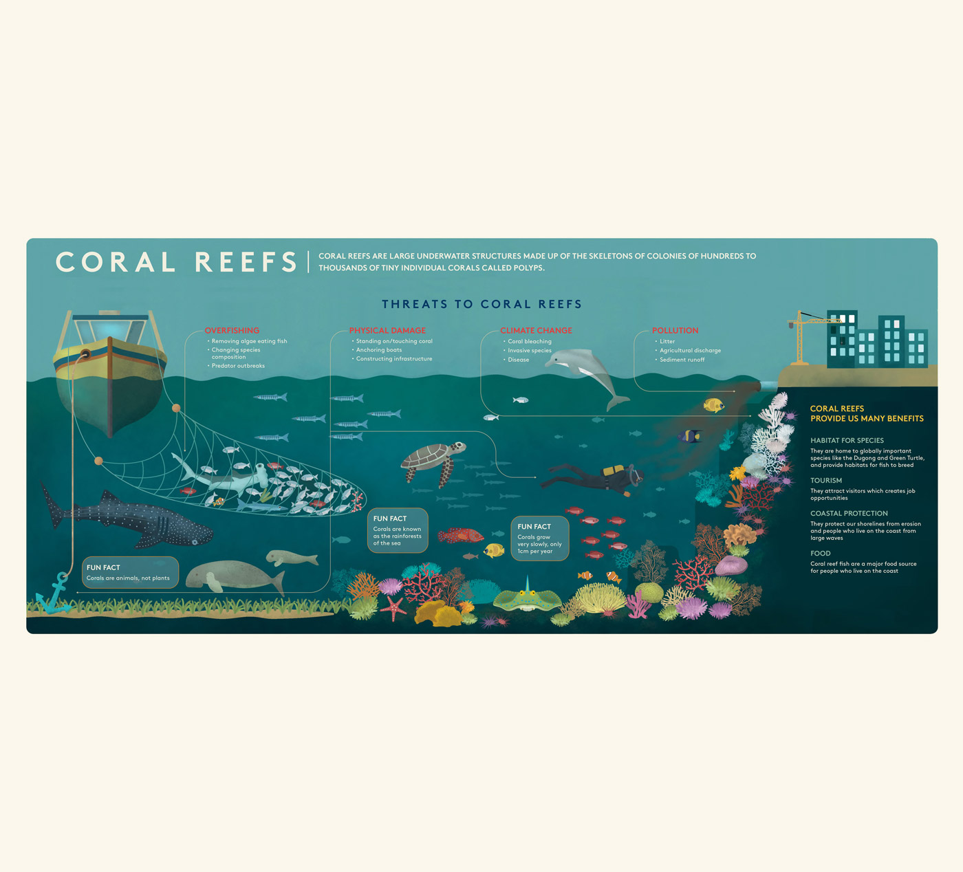 arrecifes-coral-mar-rojo-infografia-red-sea-coral-reef