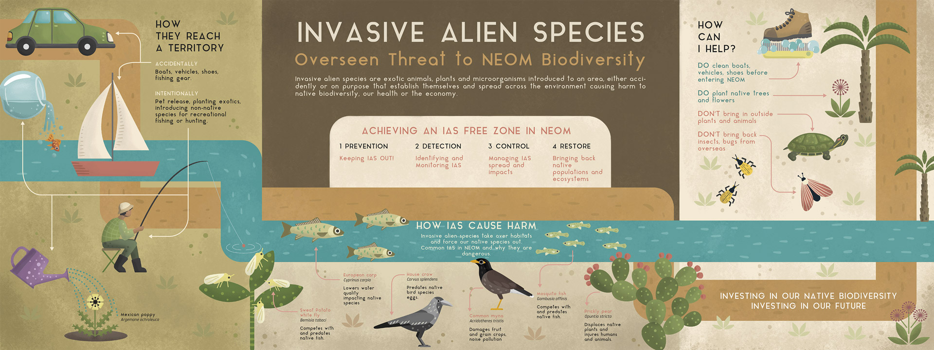 especies-invasoras-infografia