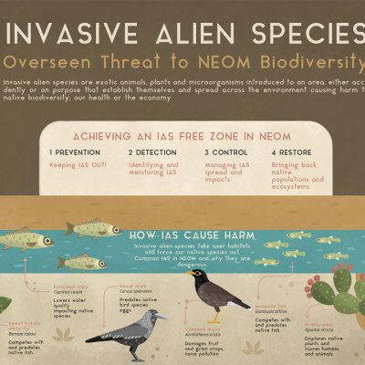 especies-invasoras-infografia